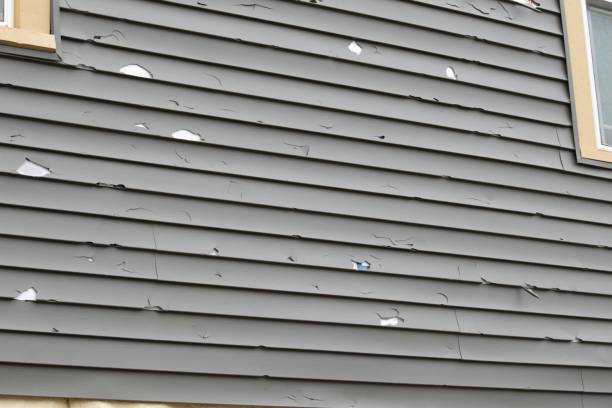 Best Historical Building Siding Restoration  in Lowell, MA